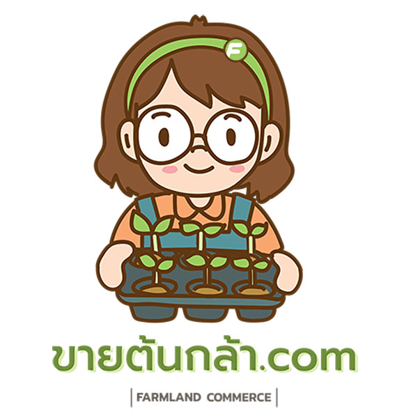 ร้านขายต้นกล้า